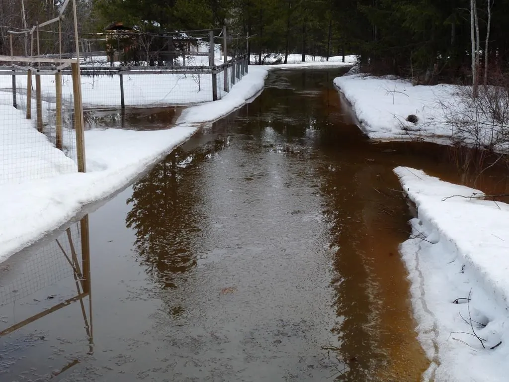 Floodwaters cover Ray Chipeniuk's driveway near Smithers, B.C., in this 2018 handout photo. (HO, Ray Chipeniuk/The Canadian Press)