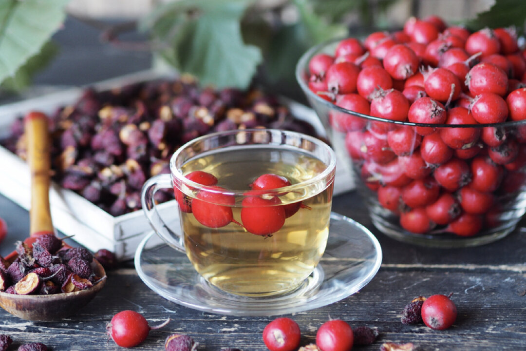 Healing the Heart With Hawthorn