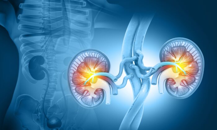 watch-your-food-these-foods-can-cause-kidney-failure-bingkai-karya