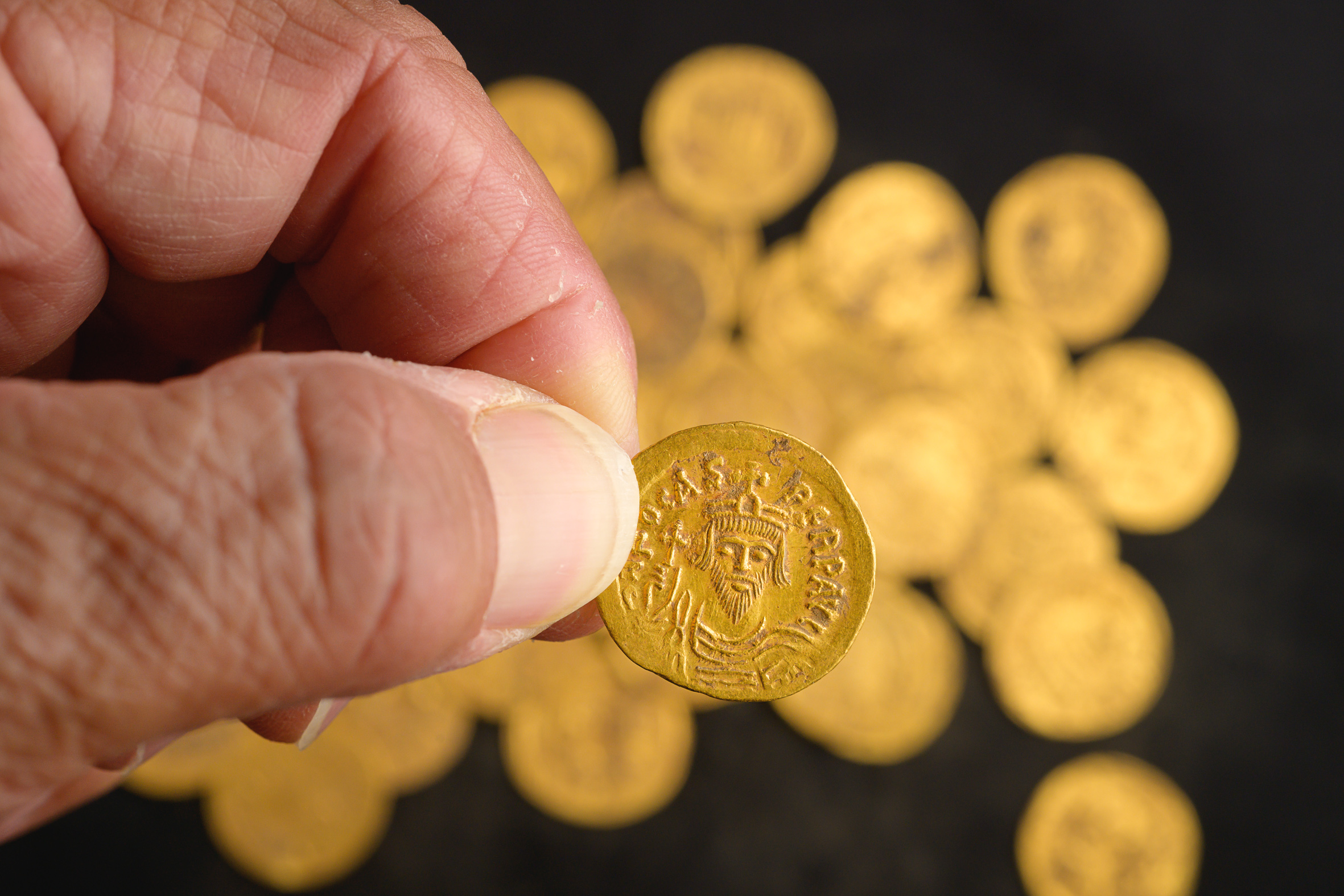 Semilla de oro coin