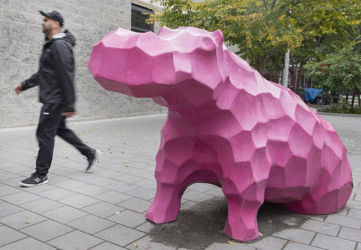A man walks by a pink Hippo at the site of the former Jardin Guilbault in Montreal, Oct. 7, 2022. (The Canadian Press/Graham Hughes)
