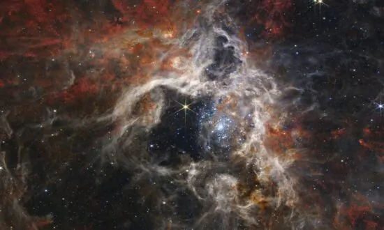 ‘X-ray Specs’: Canadian Scientists Starry-eyed Over James Webb Space Telescope