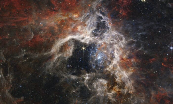 这张由美国宇航局于 2022 年 9 月 6 日发布的图像显示了由詹姆斯韦伯太空望远镜拍摄的狼蛛星云恒星形成区域。  （加拿大新闻社/NASA、ESA、CSA、STScl 和 Webb ERO 制作团队）
