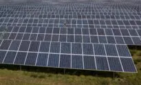 UK Prime Minister Opposes Placing Solar Panels on Farmland, Downing Street Says