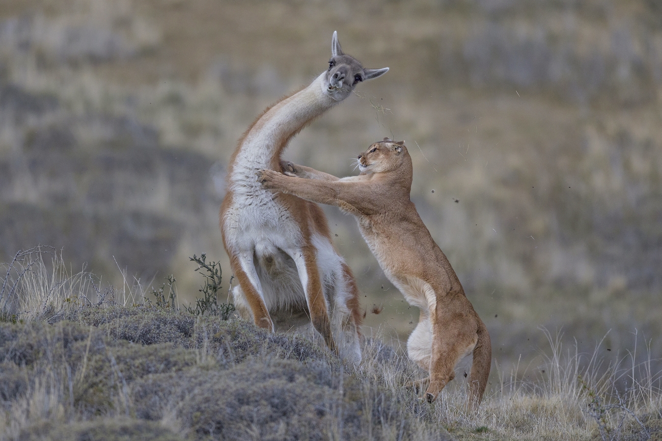 Siena International Photo Awards 2022