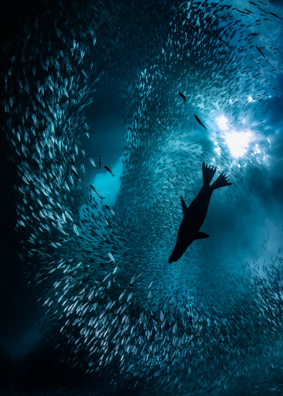 Siena International Photo Awards 2022