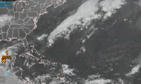 US NHC Sees 60 Percent Chance of Storm in Gulf of Mexico