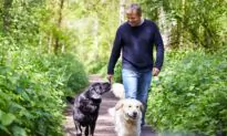 Four Tips to Help Your Dog Lose Weight