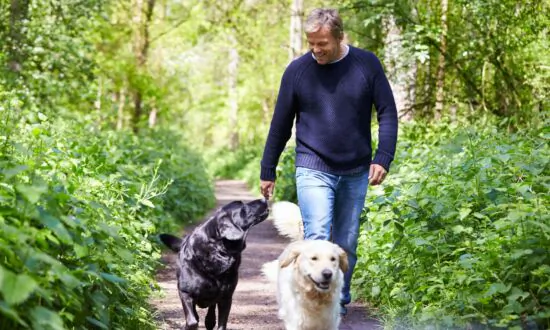 Four Tips to Help Your Dog Lose Weight