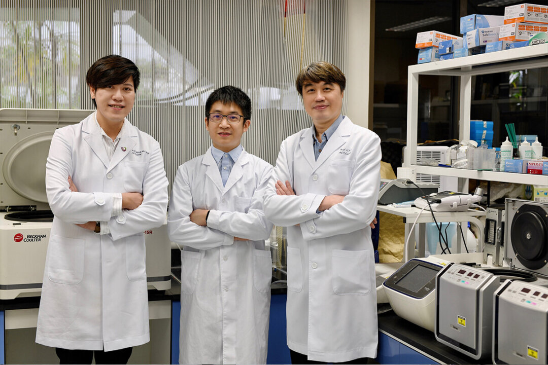 A research team from the Faculty of Medicine at CUHK, comprising Assistant Prof. Patrick Tang Ming-kuen (L), Post-doctoral Fellow Dr. Philip Tang Chiu-tsun (M), and Chairman Prof. To Ka-fai (R), of the Department of Anatomical and Cellular Pathology, discovered that the phenomenon of "macrophage to neuron-like cell transition (MNT)," can generate pain-sensing neurons in lung cancer, leading to cancer pain. This shows MNT may become the primary precise therapeutic target for cancer pain. (Courtesy CUHK Communications and Public Relations)