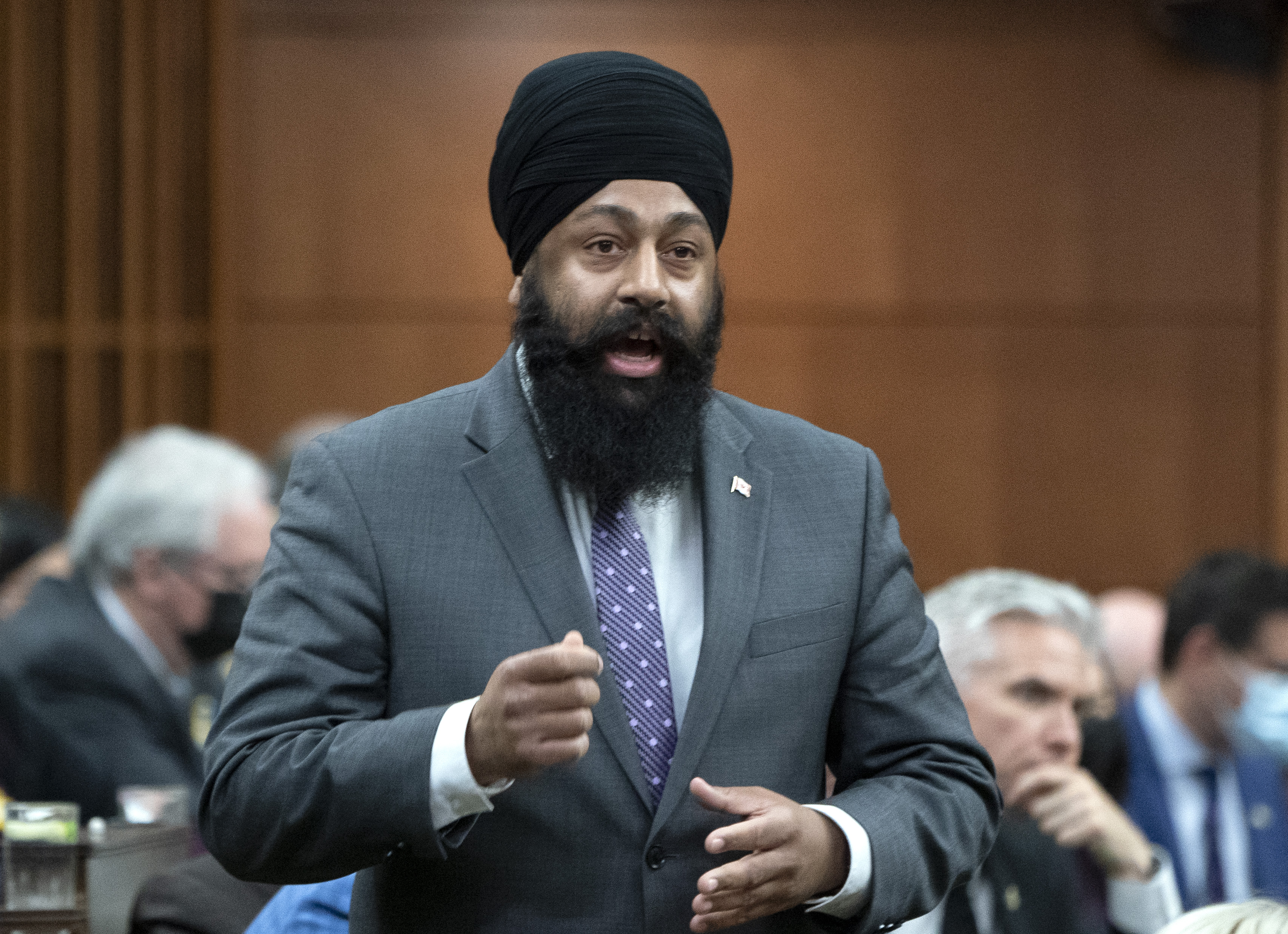 New Tory Finance Critic Says 'Band-aid Solutions' Won't Solve Inflation - Vimarsana News