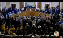Angry Protesters Interrupt LA City Council Meeting After Audio Leak