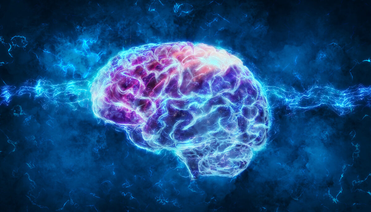 Our Brain Shape May Matters More Than We Think