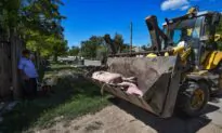 Romania Confirms African Swine Fever Outbreak at Pig Farm