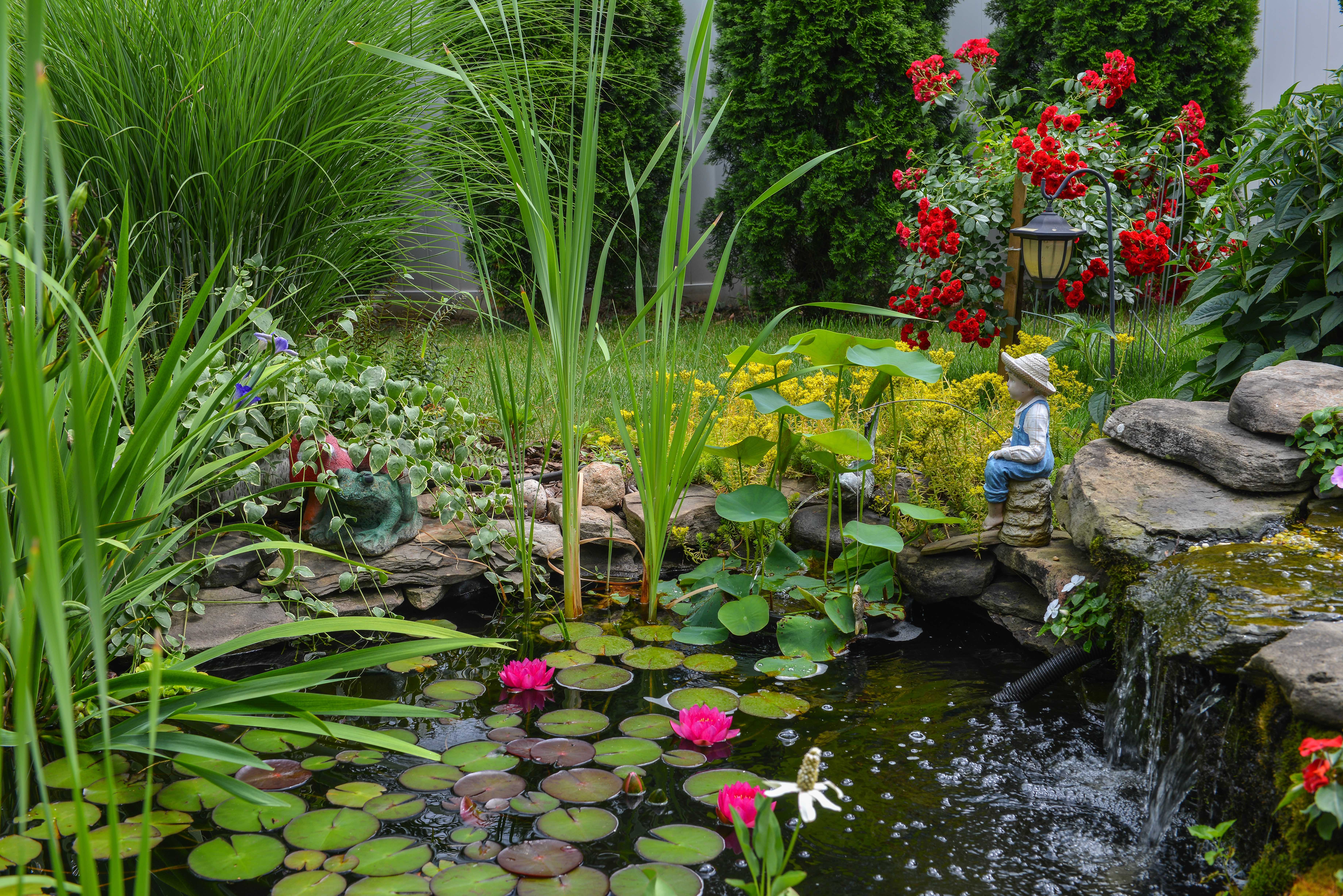water garden