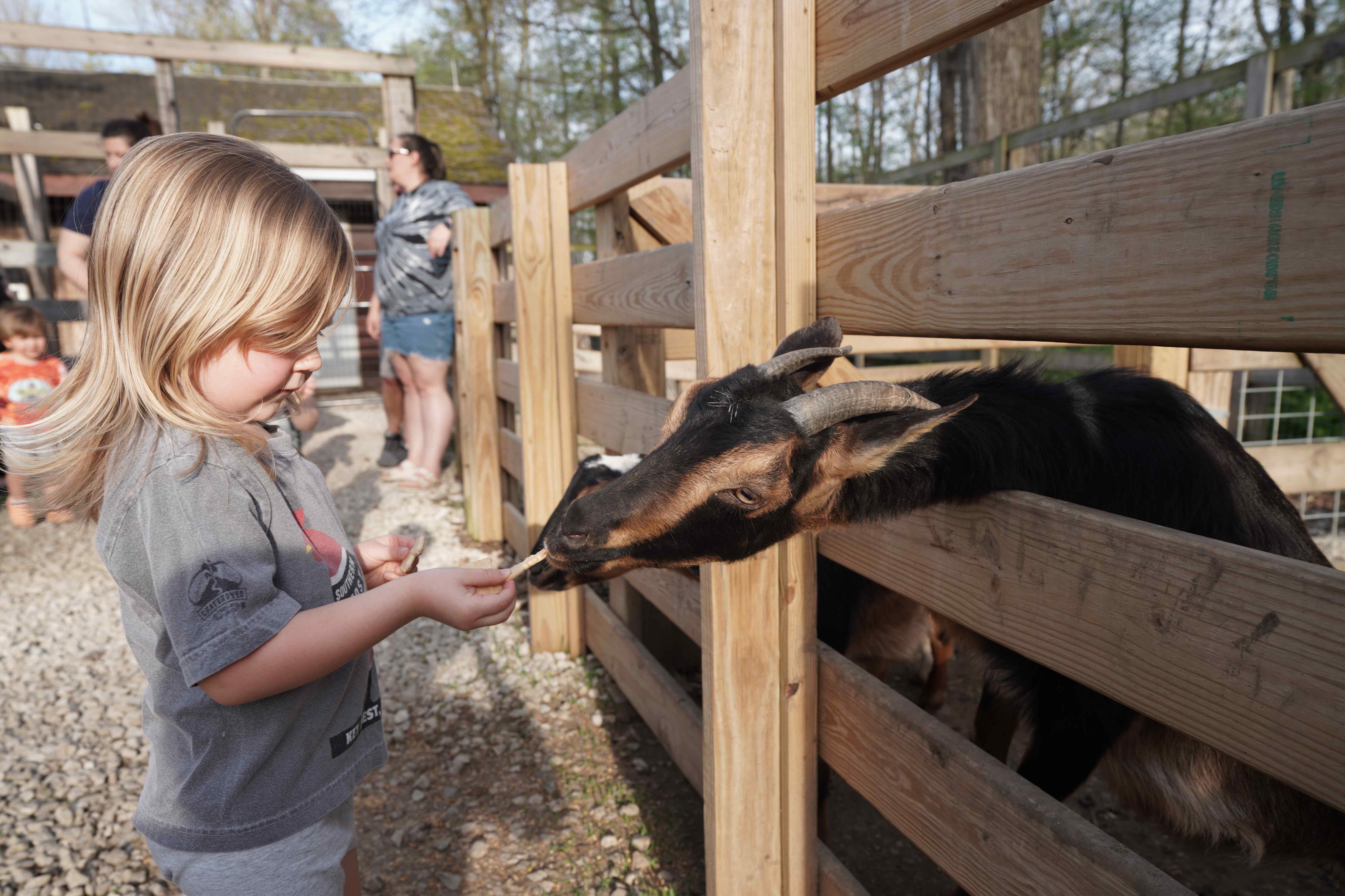 Kid-Friendly Activities and Travel Ideas for Families in Ohio - Vimarsana News