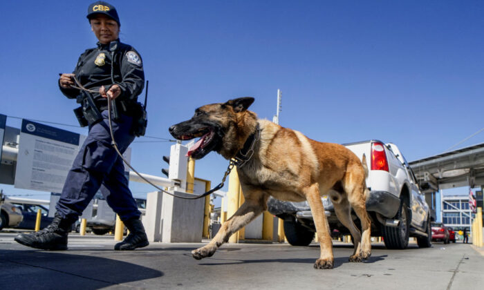 A US Customs and Border Protection canine team checks automobiles for contraband in the line to enter the United States at the San Ysidro Port of Entry in San Ysidro, Calif., on Oct. 2, 2019. (Sandy Huffaker/AFP via Getty Images)