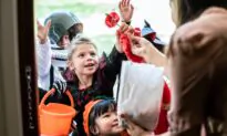 Protect Pets From Halloween Antics