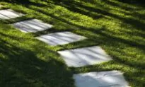 Lay a Stone Path