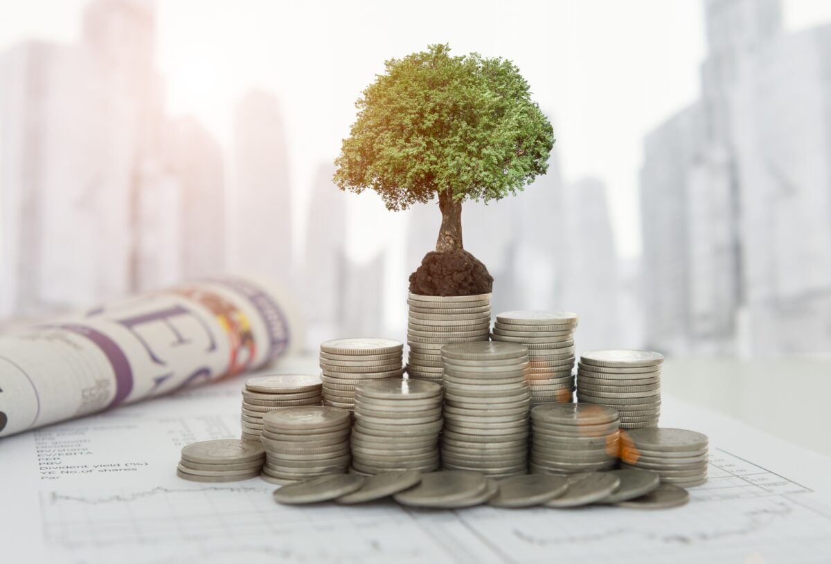 NextImg:Retirement Income Distribution Strategies