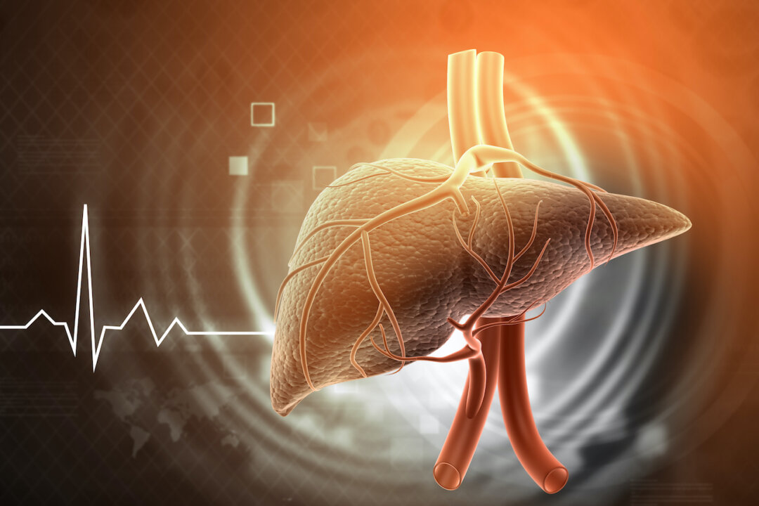 Liver Disease: A New Risk From Hormone Disruptors