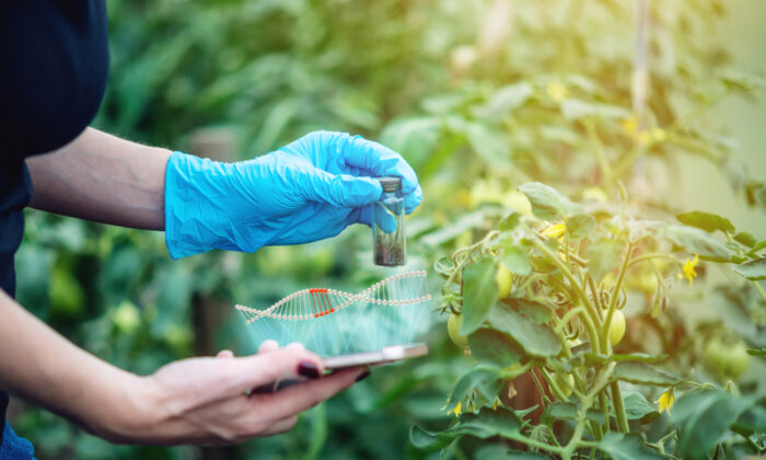 Gene Editing Will Be in More Food Than You Think