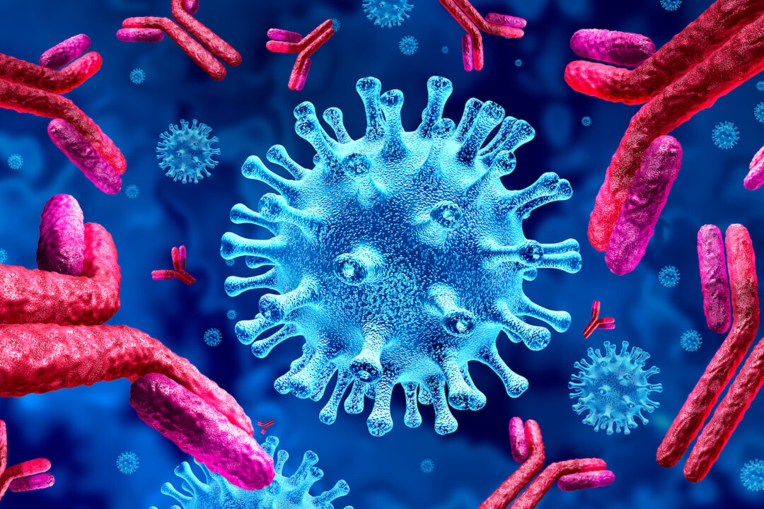 Scientists Find Antibodies That Neutralize All COVID Strains