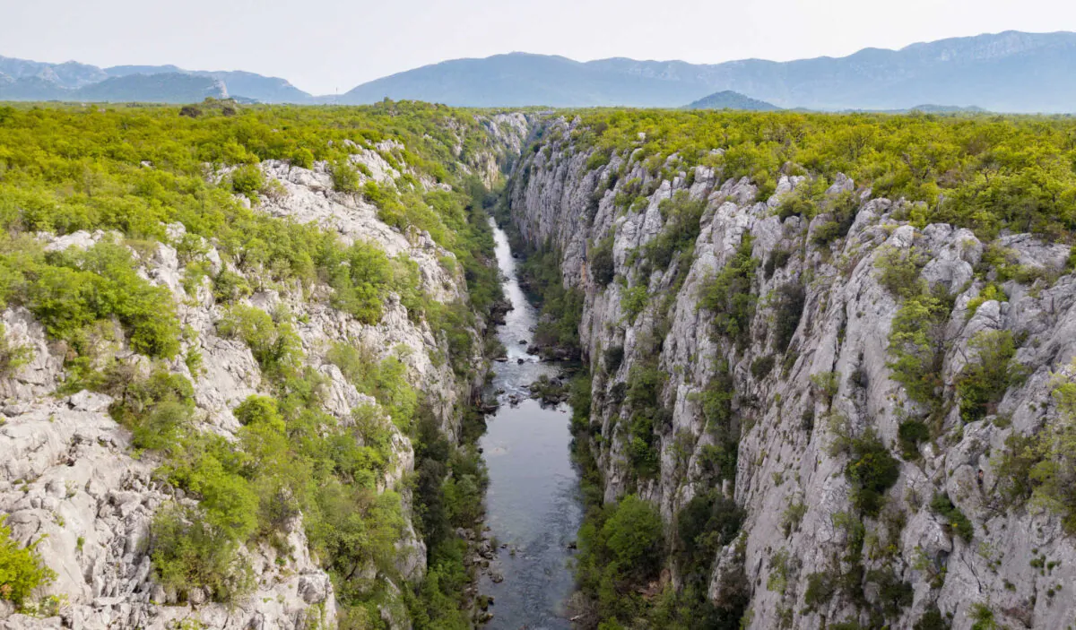 (Uros Stepisnik/Shutterstock)