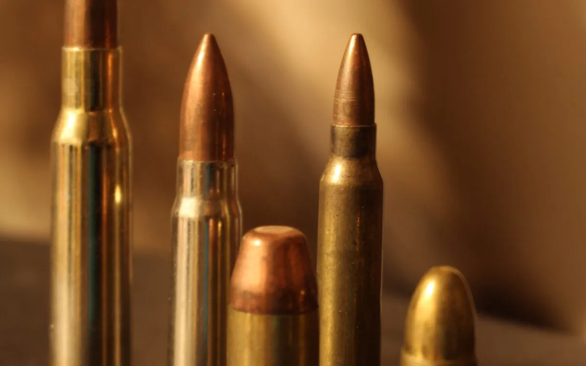 Multiple bullets, including .45acp and 9mm, on Aug. 31, 2015. (StockyPics/Flickr, Public Domain)