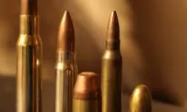 Armed and Beltway-ish: More Federal Bureaucrats Than US Marines Authorized to Pack Heat