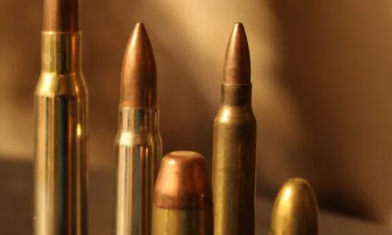 Armed and Beltway-ish: More Federal Bureaucrats Than US Marines Authorized to Pack Heat