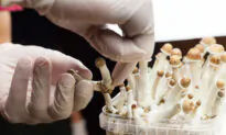 Vancouver Councillors Approve Psychedelics Store Amid Police Investigation