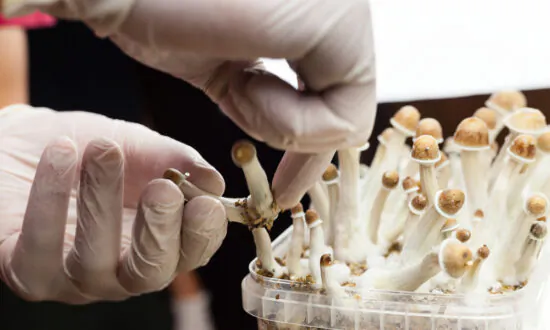Vancouver Councillors Approve Psychedelics Store Amid Police Investigation