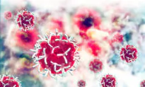 Scientists Discover How Cancer Cells ‘Hijack’ Cells and Spread Around the Body