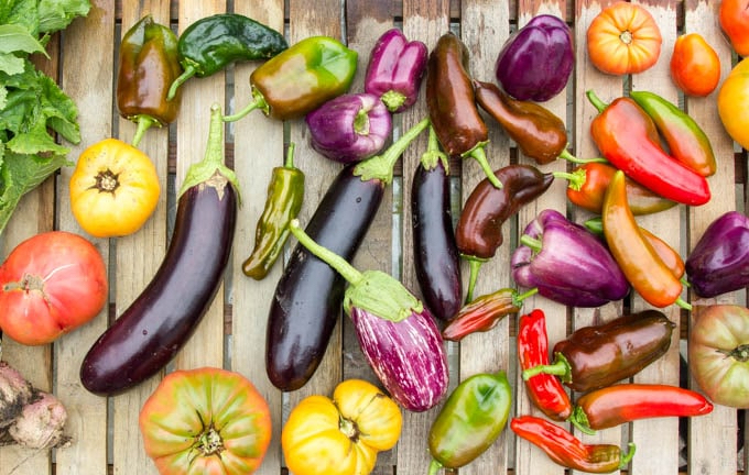 vegetables for Ratatouille