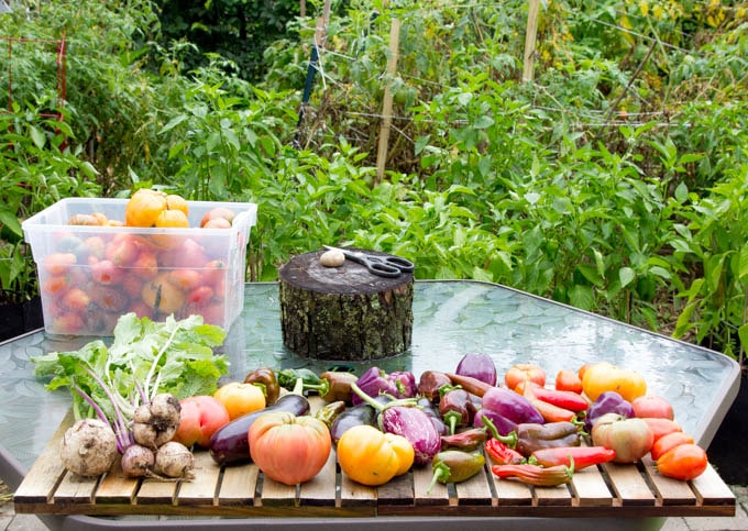 vegetables for Ratatouille