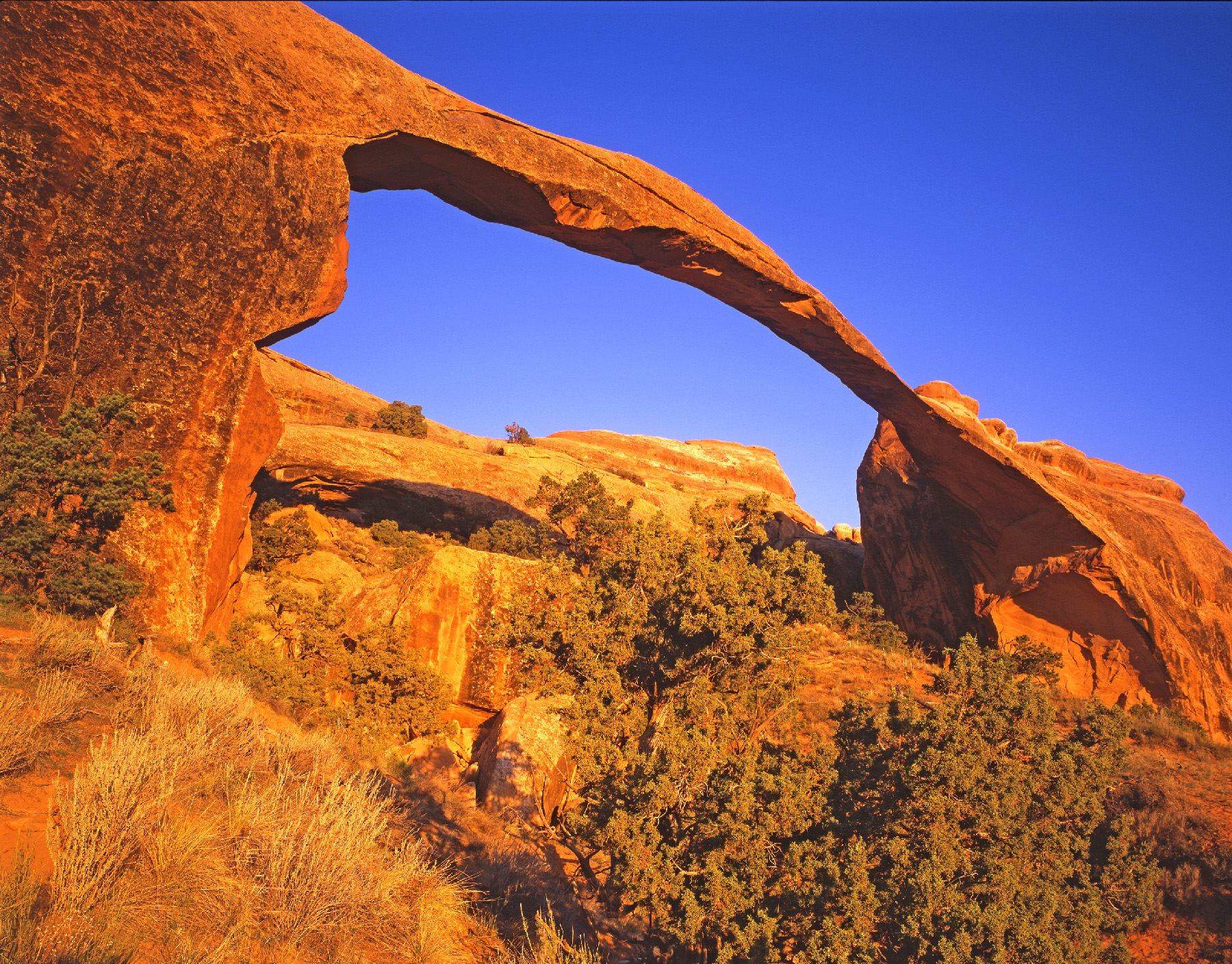 Landscape Arch at Arches National Park is just one of the natural wonders in Utah's five national parks.