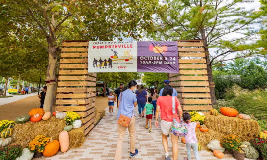 These Are the Top US Pumpkin Patches Worth Traveling To