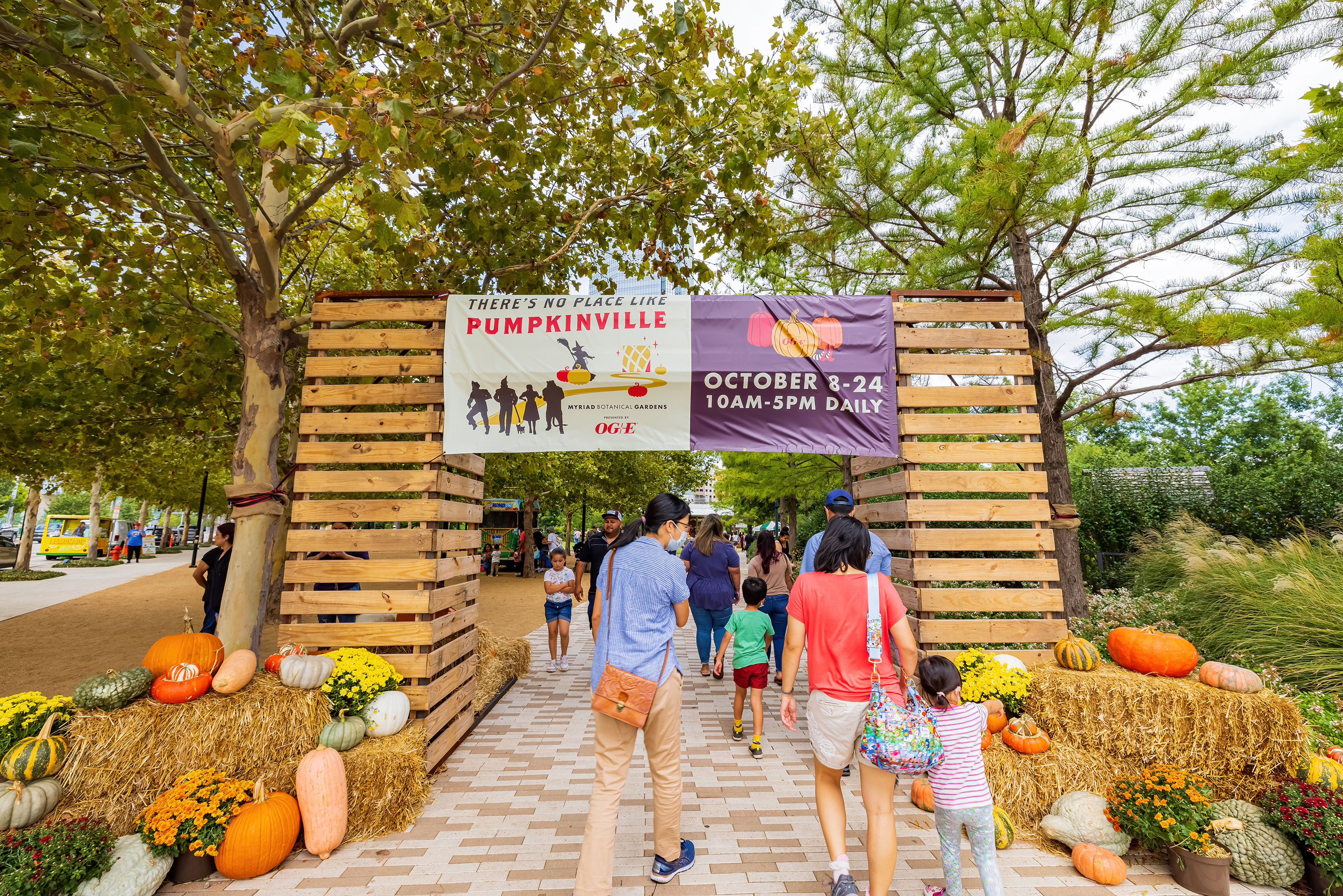 These Are the Top US Pumpkin Patches Worth Traveling To - Vimarsana News