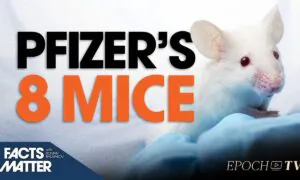 Safety of Millions of Americans Hinge on Data From 8 Mice: Pfizer’s New Formulation Had No Human Trials Prior to Approval | Facts Matter