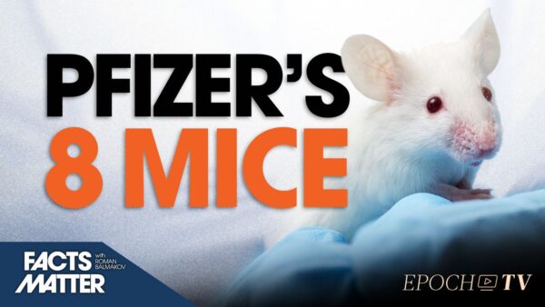 Safety of Millions of Americans Hinge on Data From 8 Mice: Pfizer’s New Formulation Had No Human Trials Prior to Approval | Facts Matter