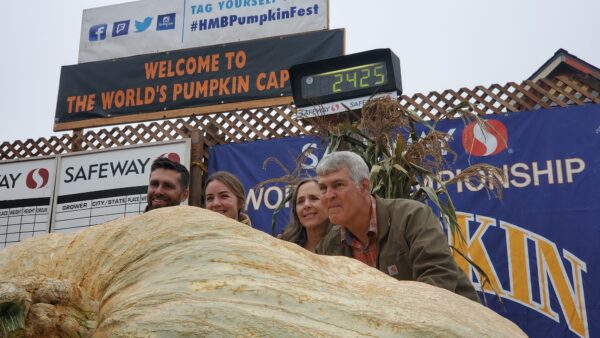 pumpkin