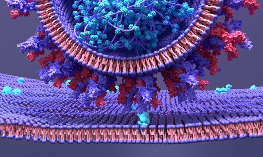 Spike protein illustration. (Shutterstock)