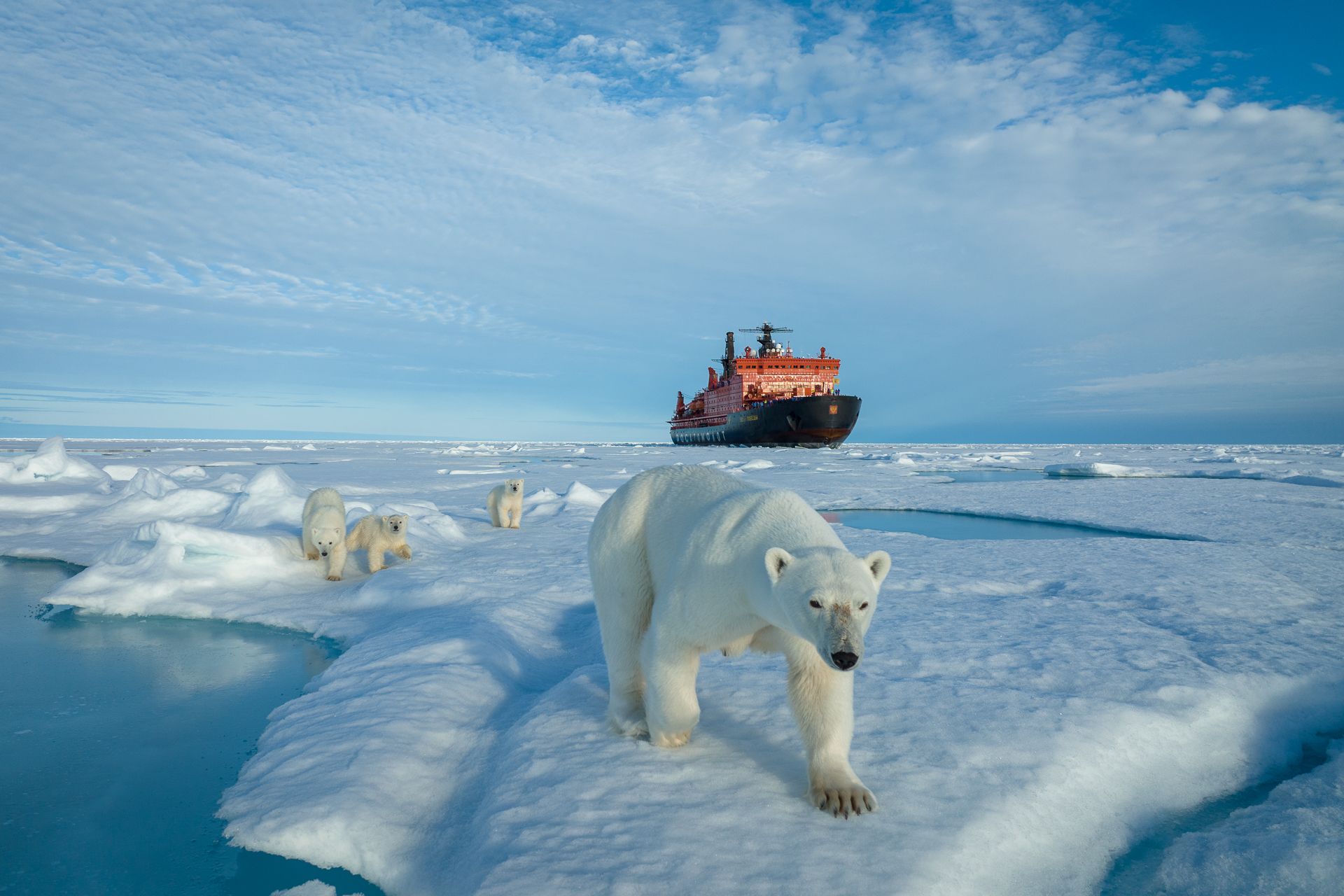 Epoch Times Photo