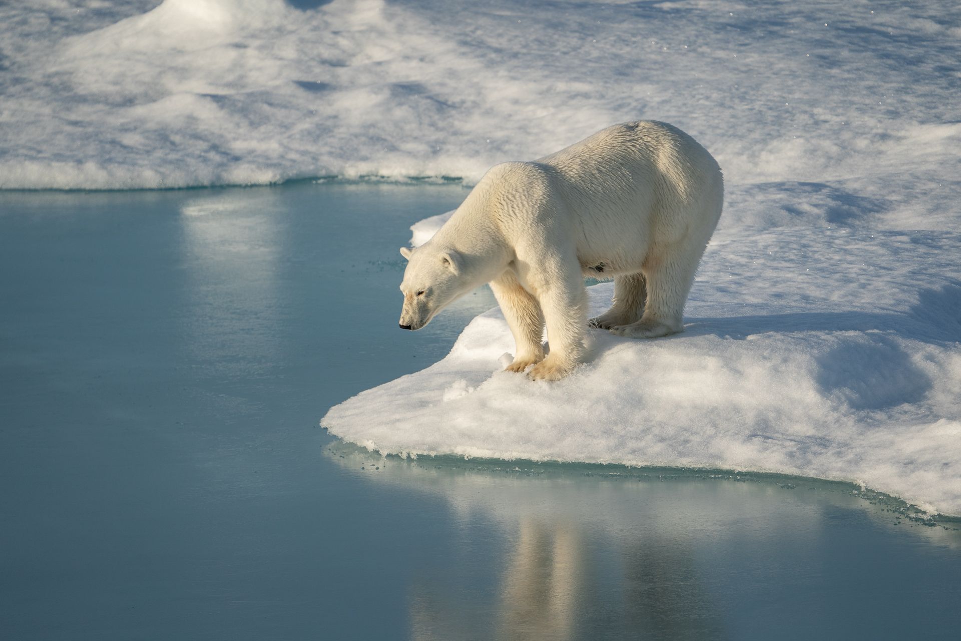 Epoch Times Photo