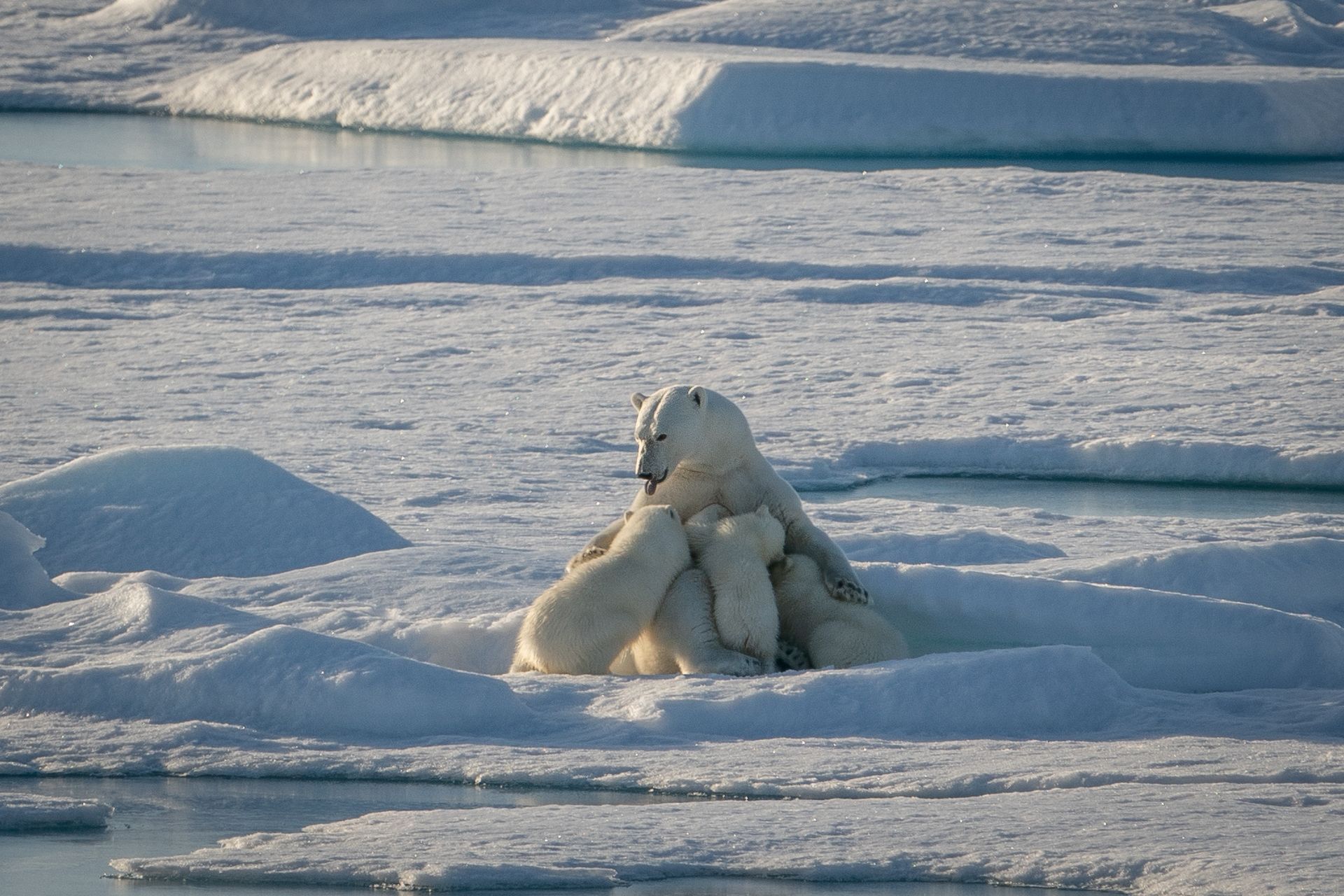 Epoch Times Photo