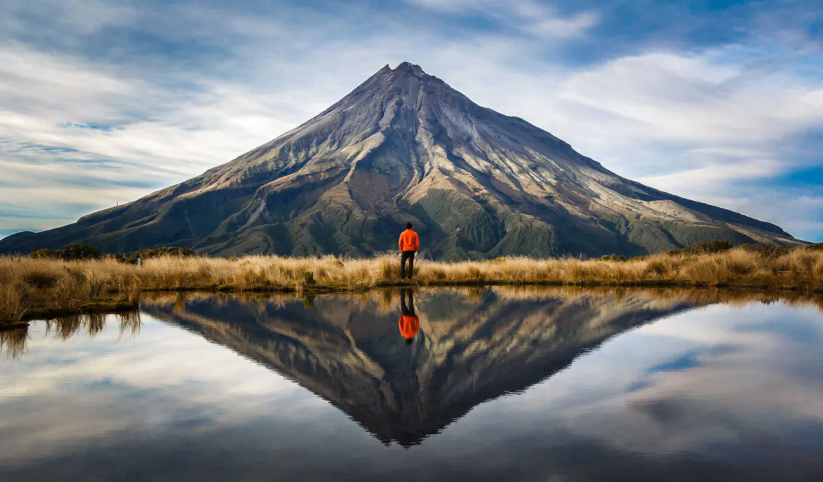 (gregorioa/Shutterstock)