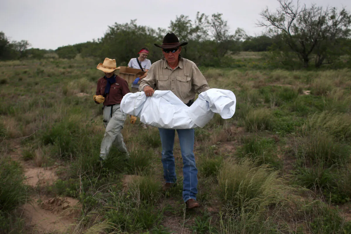 Benny Martinez, then-chief deputy of the Brooks County Sheriff's Office, carries the remains of a suspected illegal immigrant on a ranch in Falfurrias, Texas, on May 22, 2013. (John Moore/Getty Images)