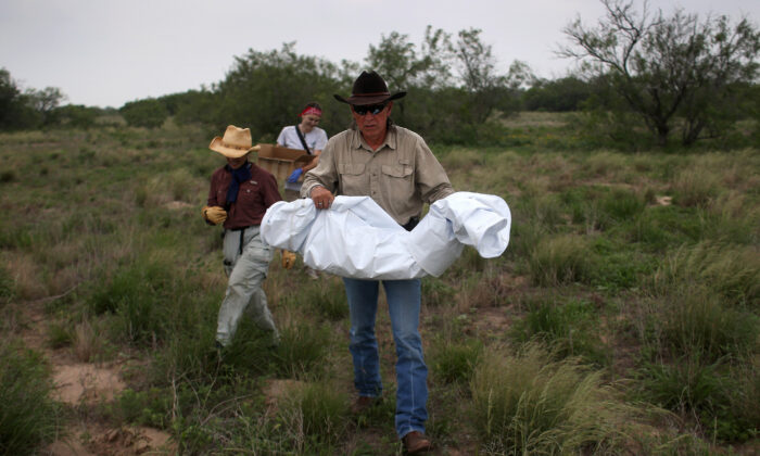 Benny Martinez, then-chief deputy of the Brooks County Sheriff's Office, carries the remains of a suspected illegal immigrant on a ranch in Falfurrias, Texas, on May 22, 2013. (John Moore/Getty Images)