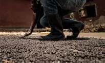 Uganda Says Coffee Exports Down 14 Percent Year-Over-Year Due to Drought